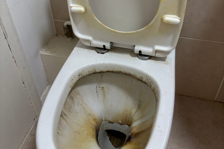 Dirty Toilet
