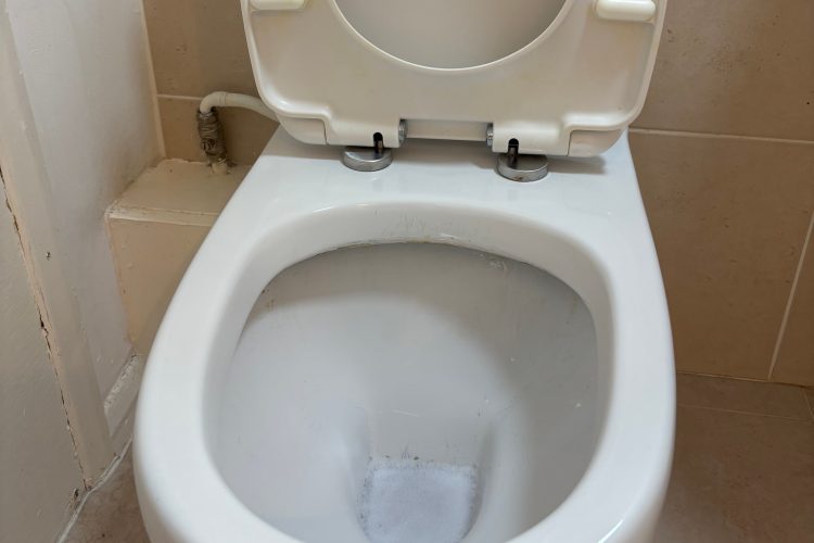 Clean Toilet