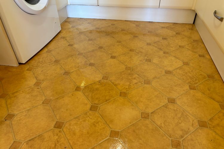 Clean Floor